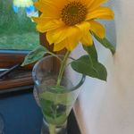 Judith Mann - @judithmann - Instagram