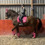𝗝𝘂𝗱𝗶𝘁𝗵 𝗠𝗮𝗻𝗻 - @jwf.dressage - Instagram