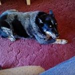 Judith Mann - @nanaiscrazy67 - Instagram