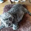 Judith Mann - @2175126545 - TikTok