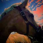 Judith Mann - @lenin_folow_me_pls_ - Instagram