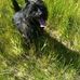 Judith Manning - Facebook