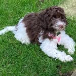 Judith Manning - @manning.judith - Instagram
