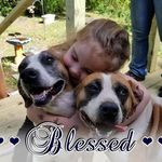 Judith Bullington Marks - @jujufrank48 - Instagram