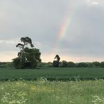Judith Marriott - @jellybaby3_2 - Instagram