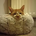 Judith Massey - @judithmassey59 - Instagram