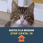 Masse Judith - @masse_judith - Instagram