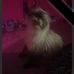 Judith Massie - Facebook