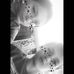 Judith Massie - Facebook