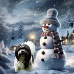 Judith Matheny Damron - @jcatsdogs - Instagram