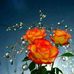 Judith Matias - Facebook