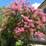 Judith Maurice - Facebook