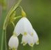 Judith Mayfield - Facebook