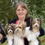 Judith Maynard Exquisite BiewerTerriers - @exquisitebiewerterriers.judith - Instagram