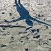 Raven Judith - Facebook