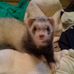 Judith McAuliffe - Facebook