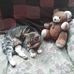 Judith McRae - Facebook