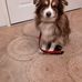 Judi Mcewen - Facebook