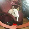 judithmcgovern3 - @judyjudith.mcgove - TikTok