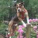 Judith Mcgraw - Facebook