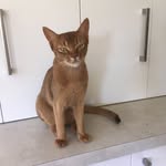 Judith McKinnon - @mckinnon_judith - Instagram