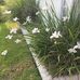 Judith Mcnutt - Facebook