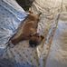 Judith A Meade - Facebook