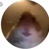 Judith Mares - @judithmares57 - TikTok