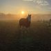 Judi Millward - Facebook