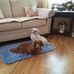 Judith Mock - Facebook