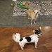 Judith Mohn - Facebook
