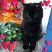 Judith Molnar - Facebook