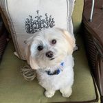 Judith Dossett Monette - @judith_dossett_monette - Instagram