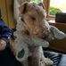 Judith Morel - Facebook
