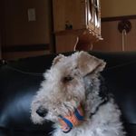 Judith Morel - @judith.morel.39 - Instagram