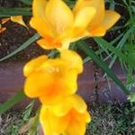 Judith  Seaman - @judith_morton - Instagram