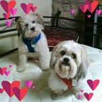 Judith Morton - @morton.judithl - Instagram