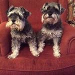Judith Mott - @judithmott - Instagram