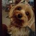 Judi Mucci - Facebook