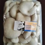 judith muro - @js_quality_mushrooms - Instagram