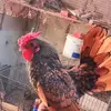 judithmuro28 - @judithmuro28 - TikTok