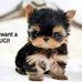 Judith Napier - Facebook