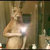 Judith Napier - @judithnapier_7775 - TikTok