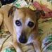 Judith Napier - Facebook