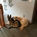 Judith Napier - Facebook