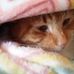 Judith Nutt Napier - Facebook