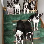Judith Neely - Facebook