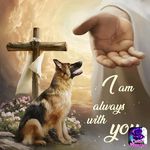 Judith Neff - @judithneff7473 - Instagram