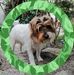 Judit Nemeth - Facebook