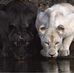 Judit Nemeth - Facebook